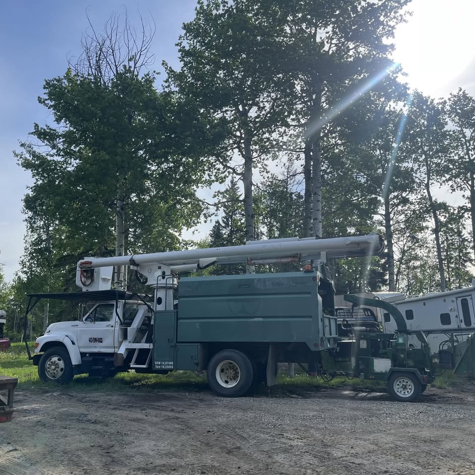 Timberline Tree Removals - Tree Services in Winfield, Alberta