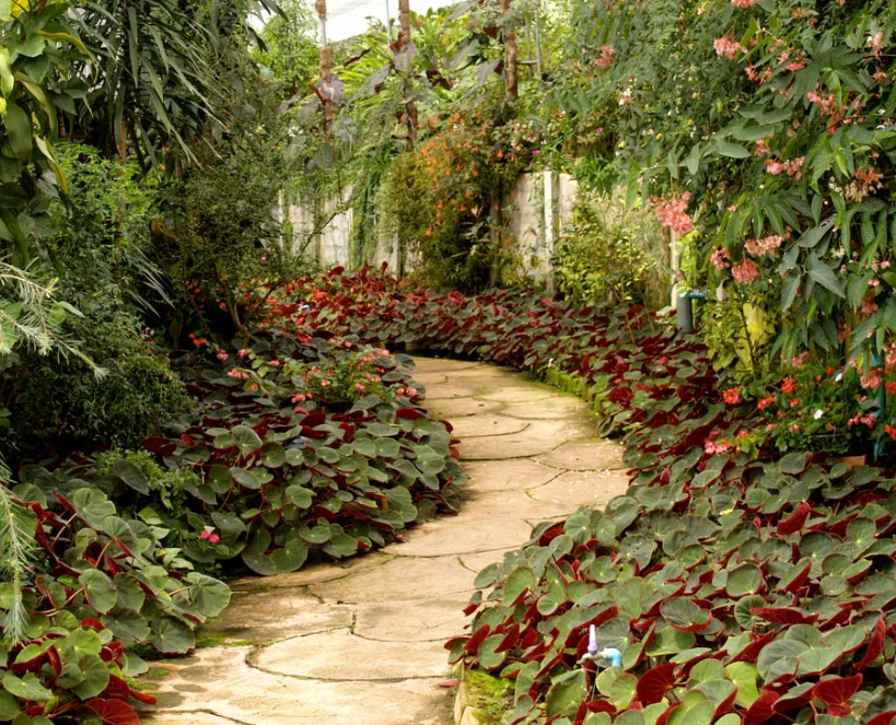 CNG Landscaping - Landscape Contractors in Niagara Falls, Ontario