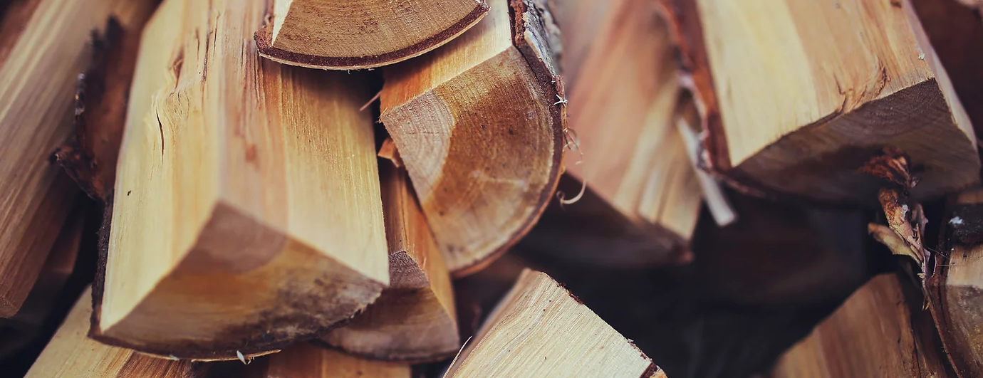 TreeSide Arborist Services - General Contractors in Bolton, Ontario