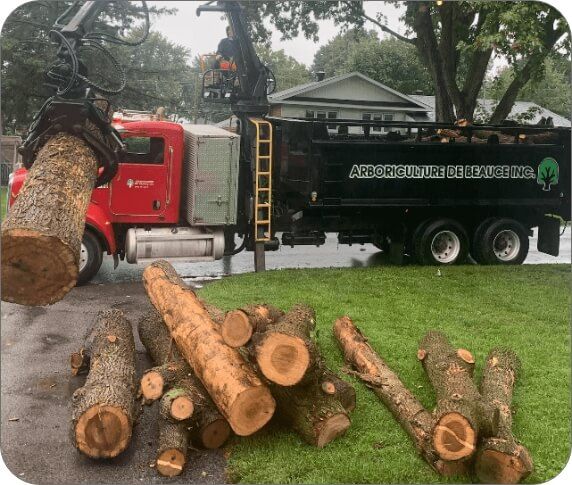 Baker Enterprises - Tree Service in Kipling, SK