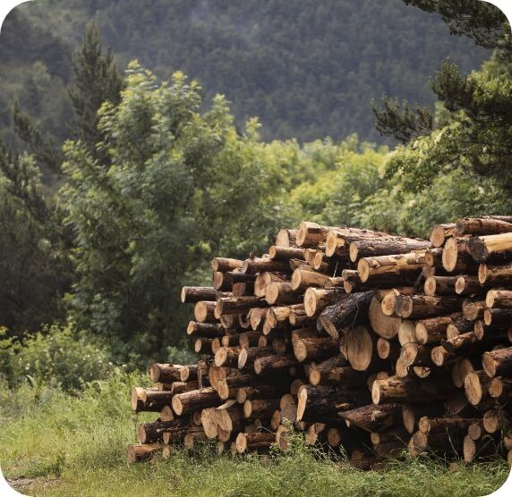 Baker Enterprises - Tree Service in Kipling, Saskatchewan