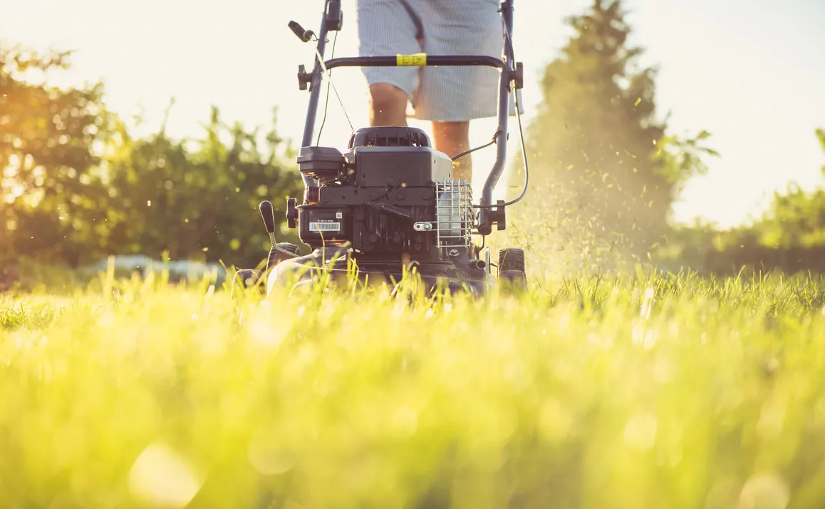 Najm Garden and Maintenance Ltd.