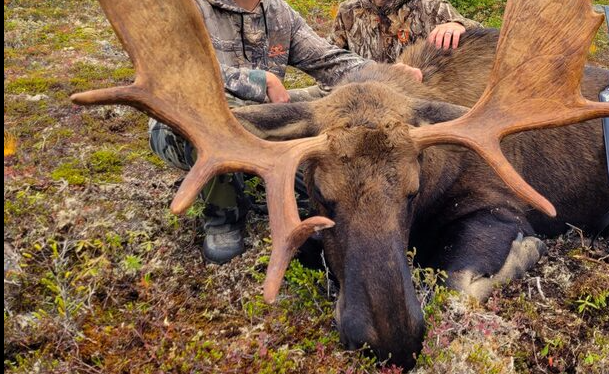 Moose Valley Outfitters in Pasadena, Newfoundland and Labrador