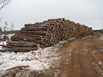 G & C Hughes Enterprises Ltd.