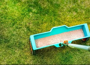 Drolet's Lawn Services