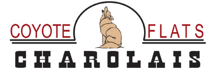 Coyote Flats Charolais Ltd. Logo - Lethbridge County, Alberta