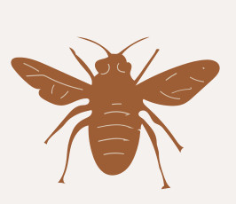 Hilly Grove Honey Logo - Manitowaning, Ontario
