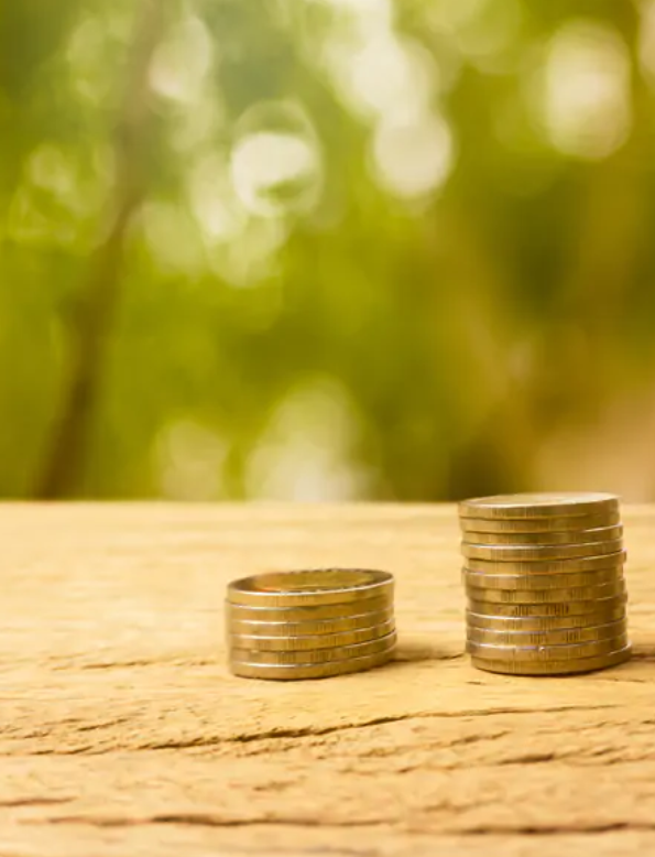 Investment Homes Manitoba Inc. in Winnipeg, Manitoba - Photo 1