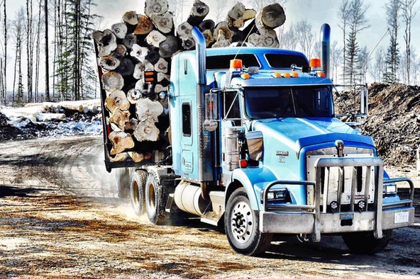 Peace River Logging LP