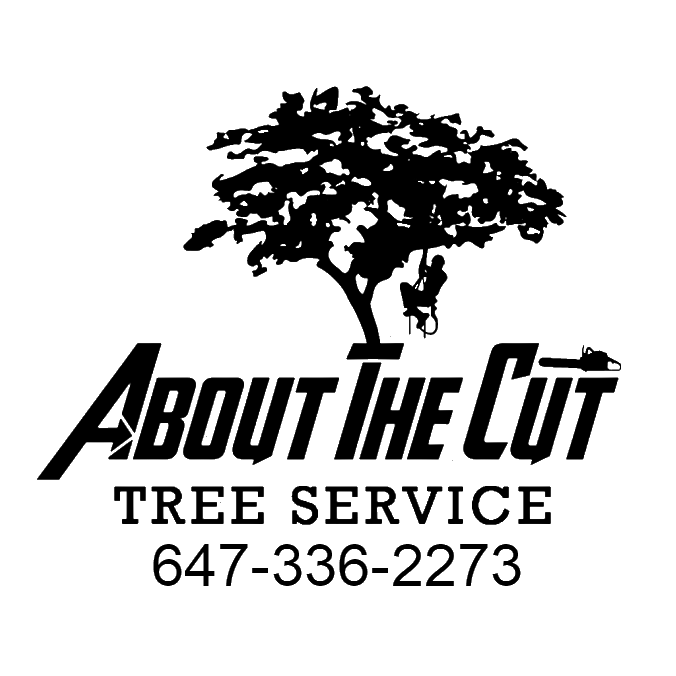 About The Cut Tree Service