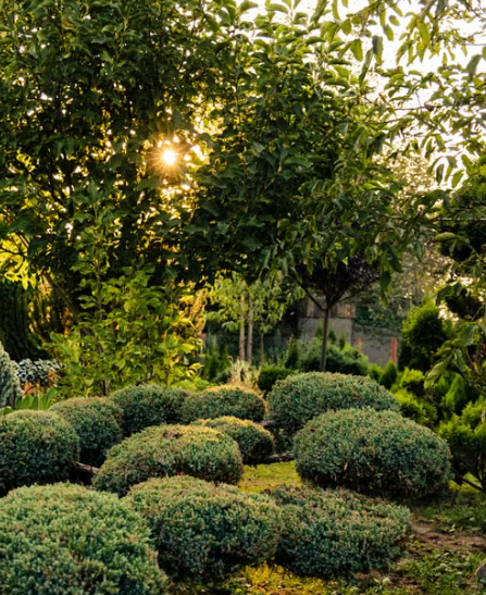 CNG Landscaping