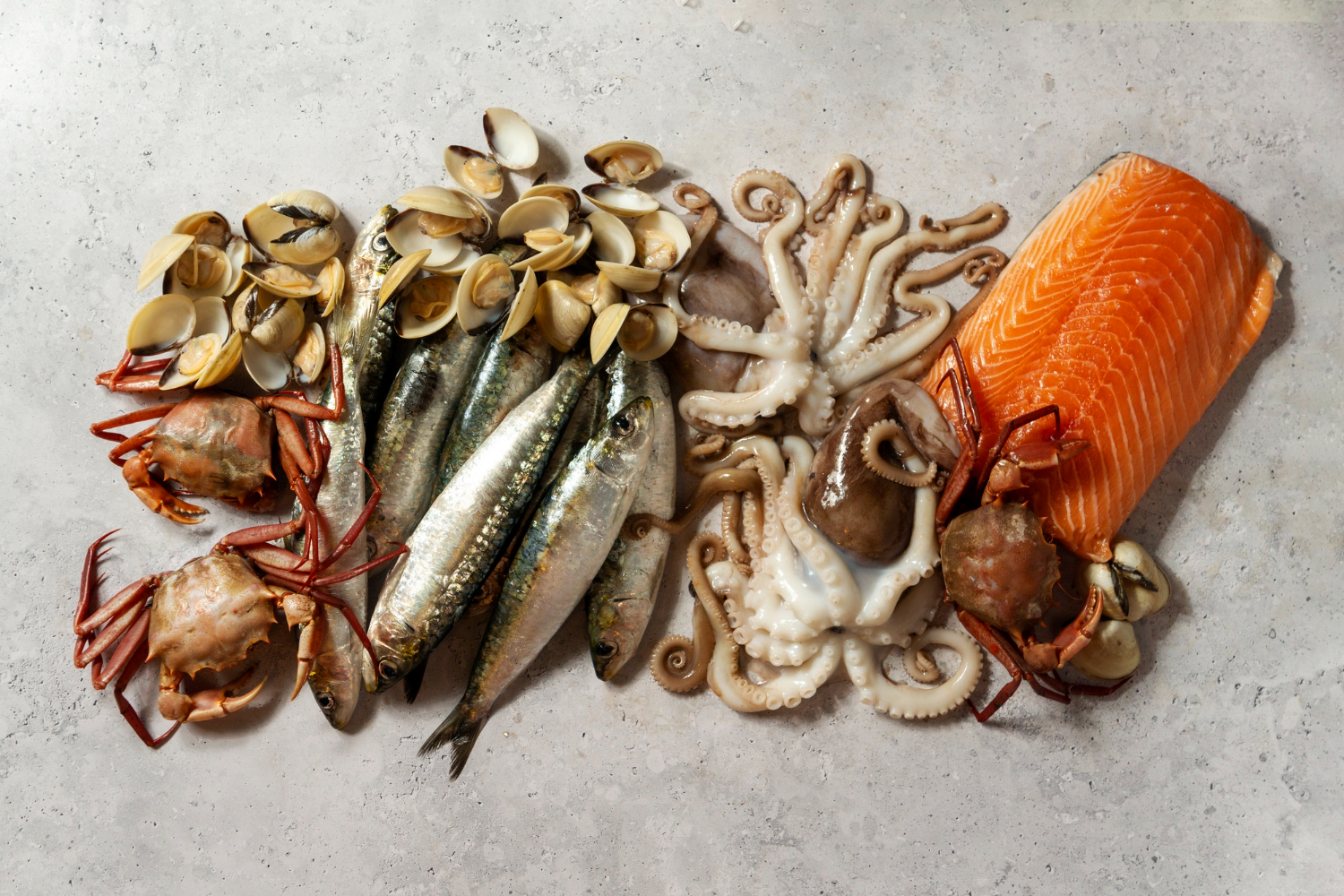 NovaShell Wholesale Lobster Inc - Fish & Seafood Wholesalers in Dartmouth, Nova Scotia