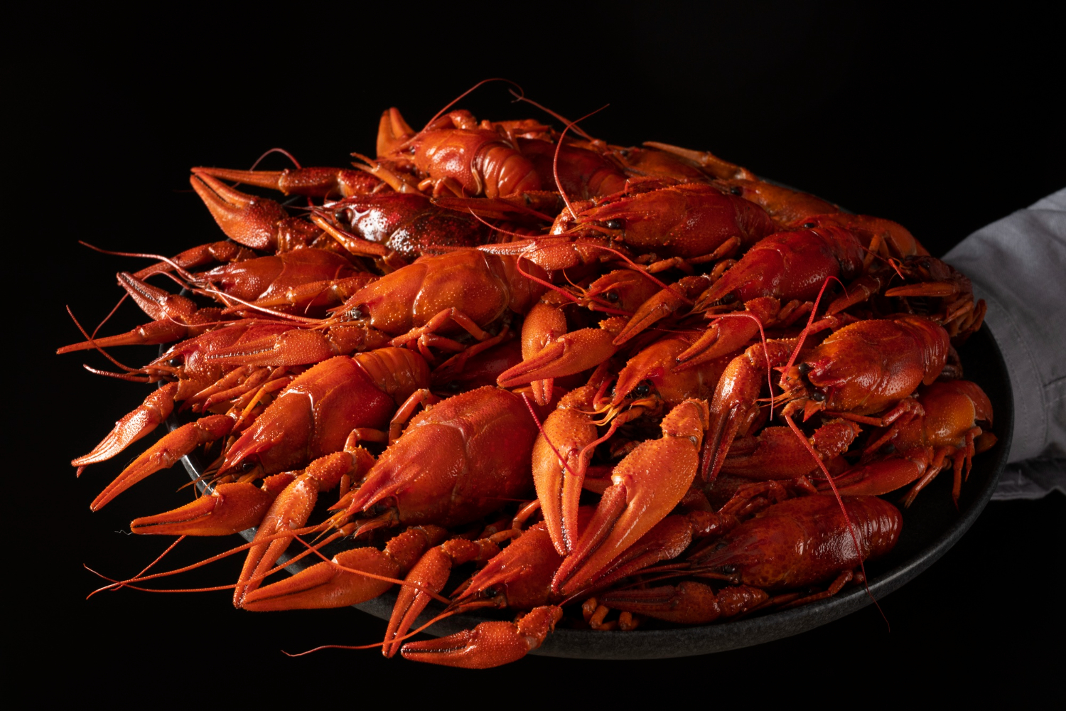 NovaShell Wholesale Lobster Inc