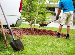 Drolet's Lawn Services in Sudbury, Ontario