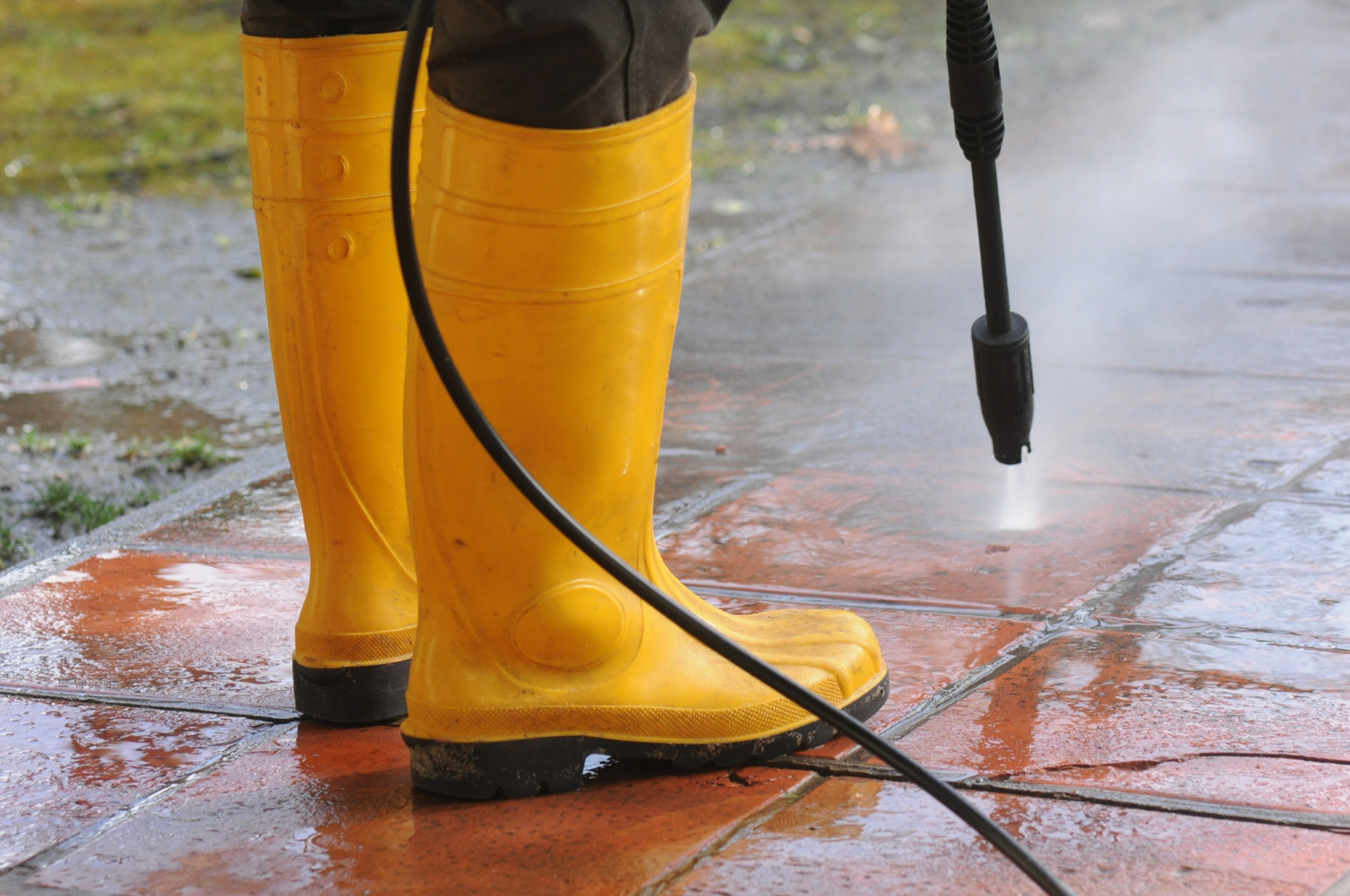 VistaBright Exteriors - Window Cleaning Service in Vancouver, British Columbia