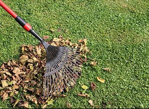 Drolet's Lawn Services