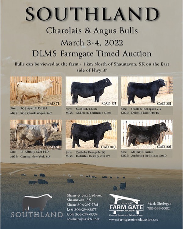 Southland Angus &amp; Charolais