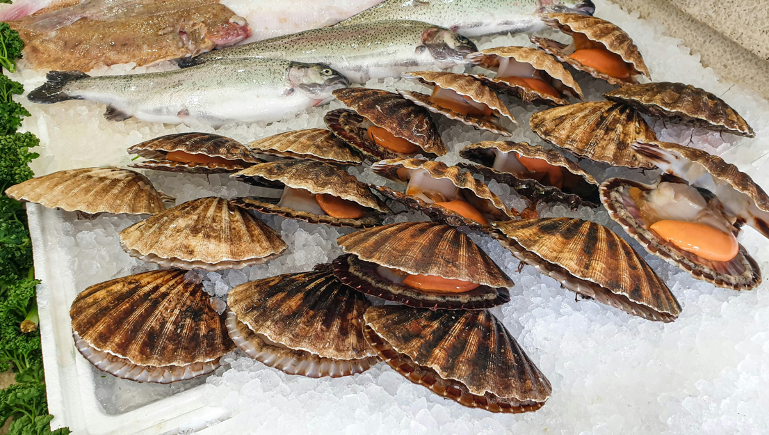 Seafood in Welshpool
