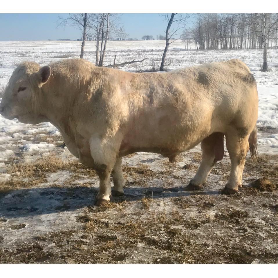 Mutrie Farms - Farms & Ranches in Glenavon, Saskatchewan