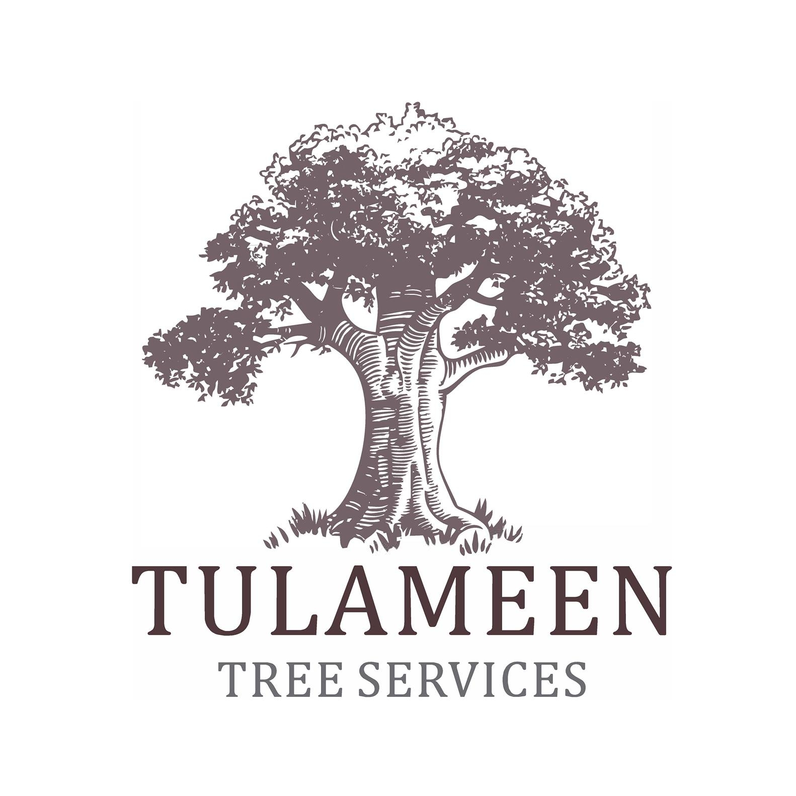 Tulameen Tree Services Logo - Tulameen, British Columbia