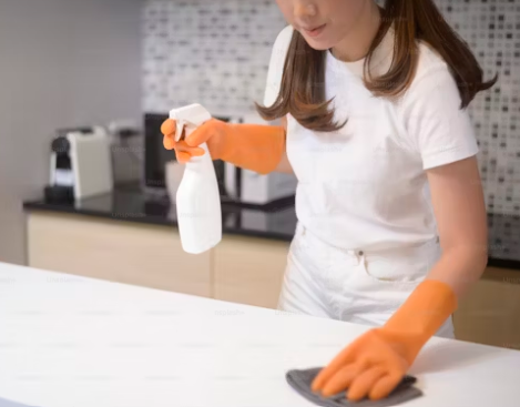 Farhyia's Cleaning Services - General Contractors in North York, Ontario