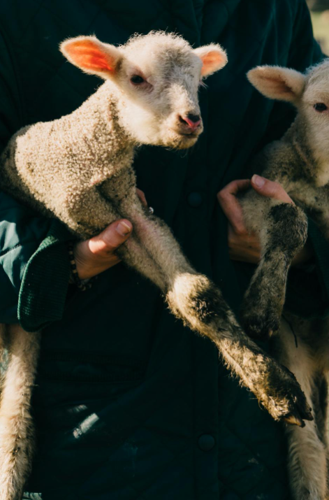 Tullamore Farms in Zephyr, Ontario - Photo 1
