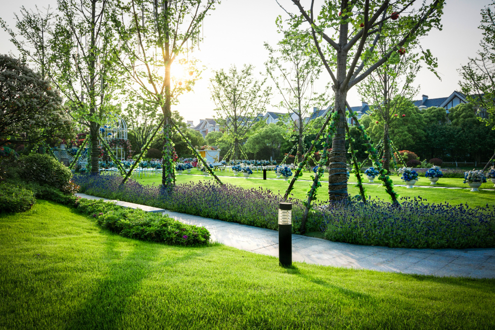 Landscaping Services