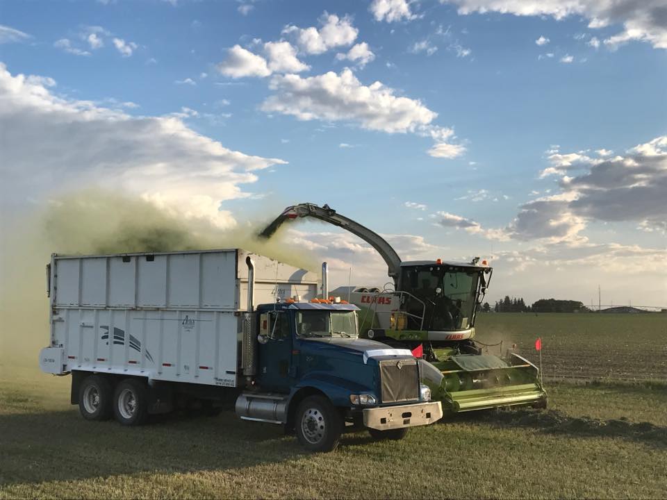 Farming an agriculture