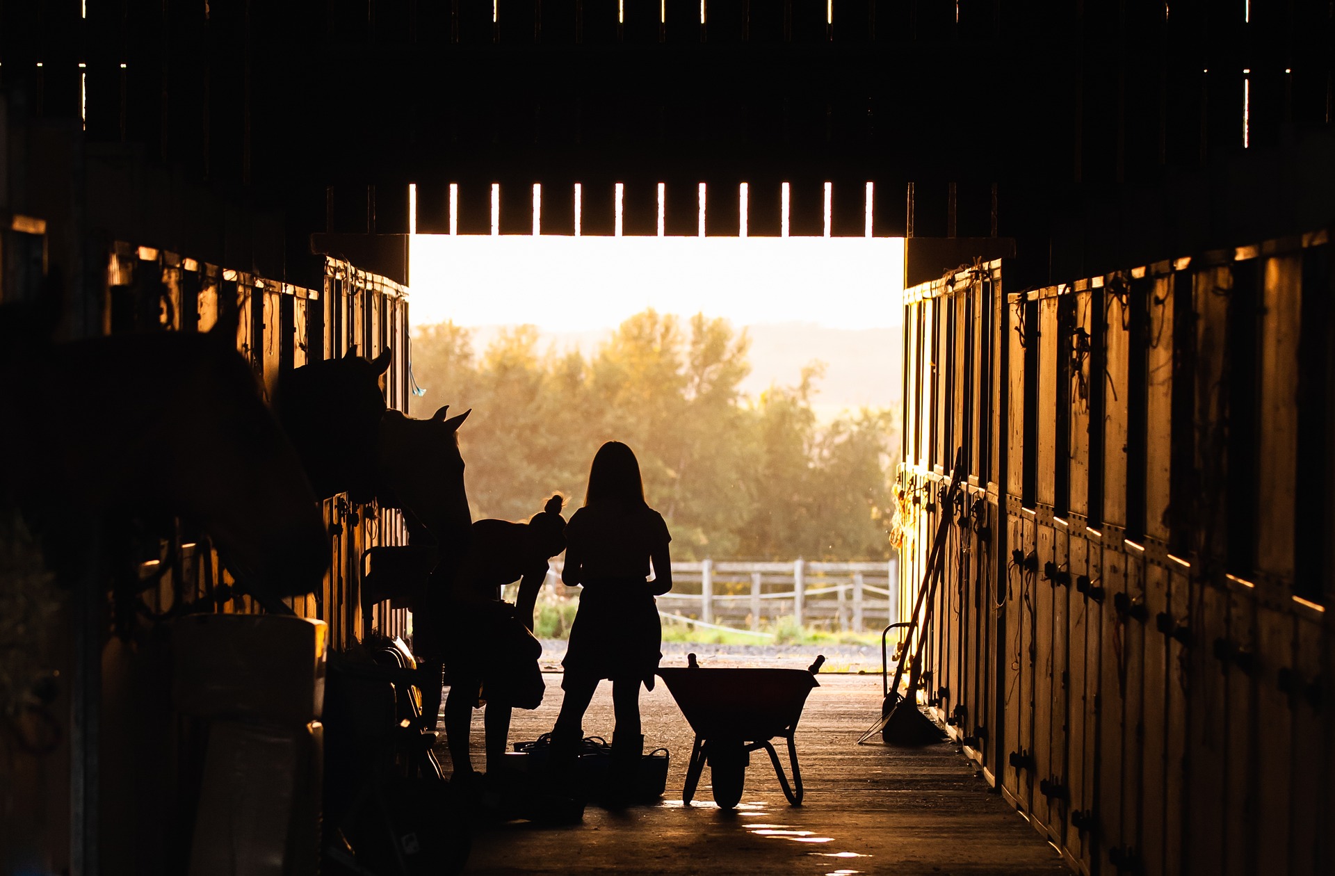 Fairlane Farming Co. Ltd. - Farming & Agricultural Services in Skiff, Alberta