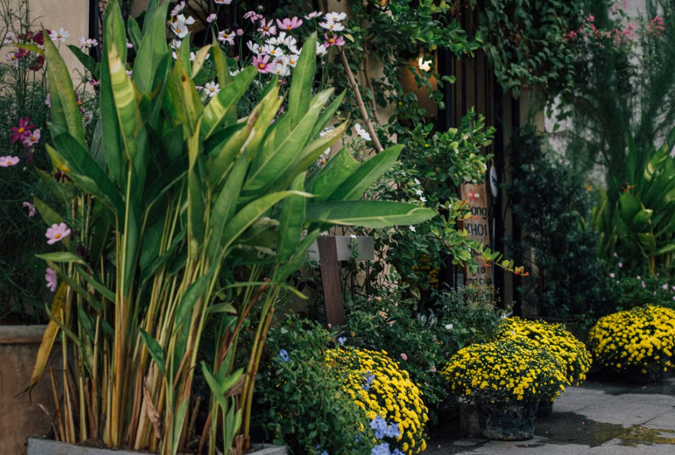 CNG Landscaping in Niagara Falls, Ontario