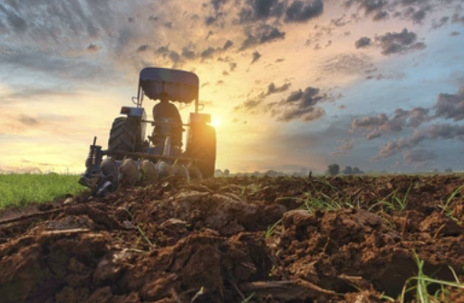 Foleyet Timber 1986 Ltd.