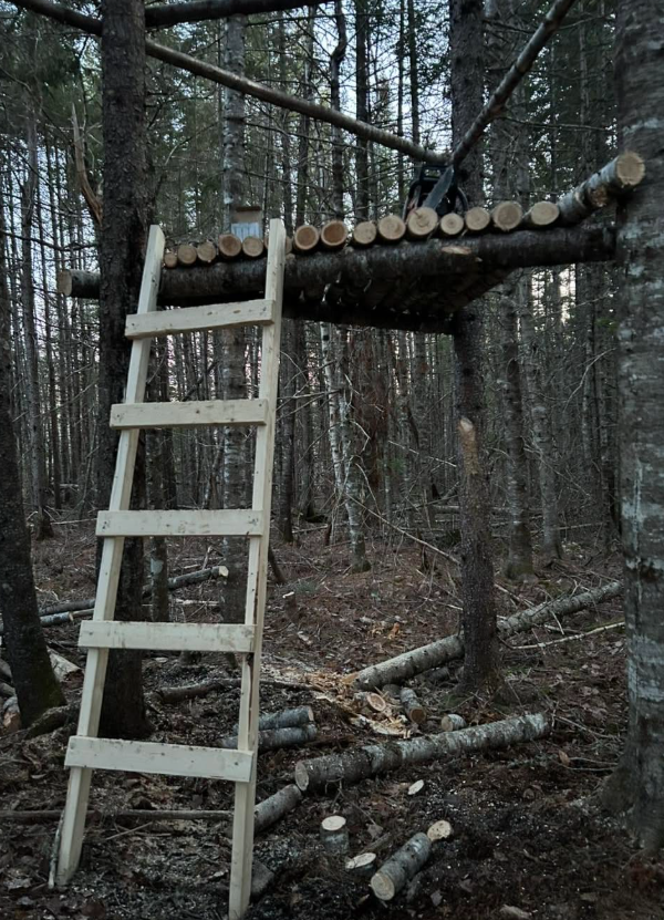 Three Tree Creek Outfitters