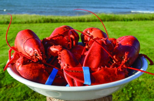 A B Seafood Specialists Inc.