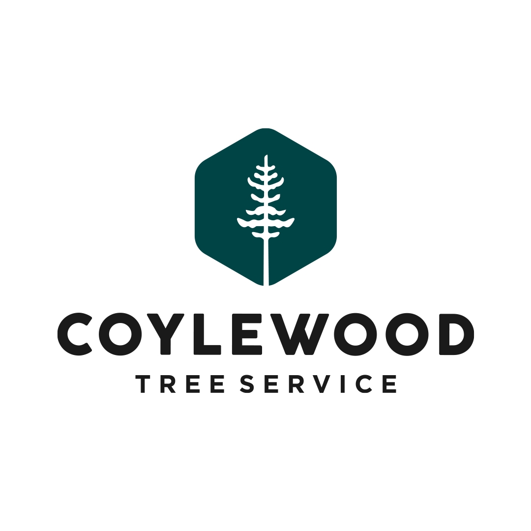 Coylewood Tree Service Inc. Logo - Bracebridge, Ontario