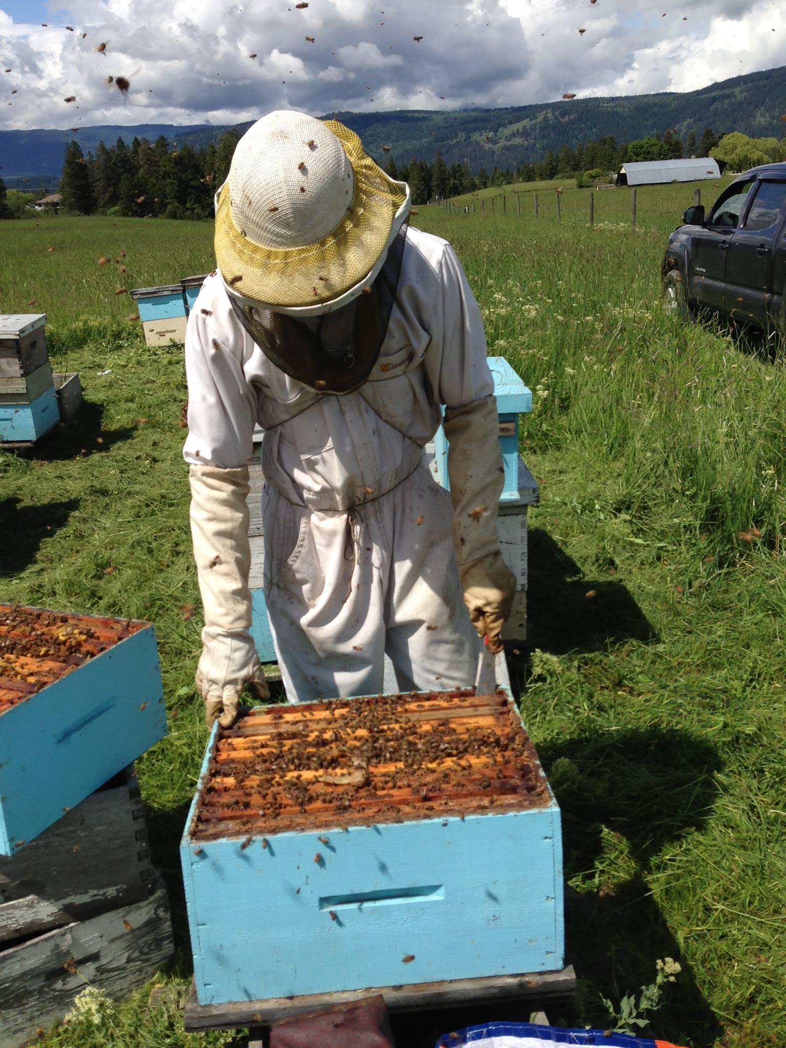 Armstrong Apiaries Ltd. - Honey Products in Armstrong, British Columbia