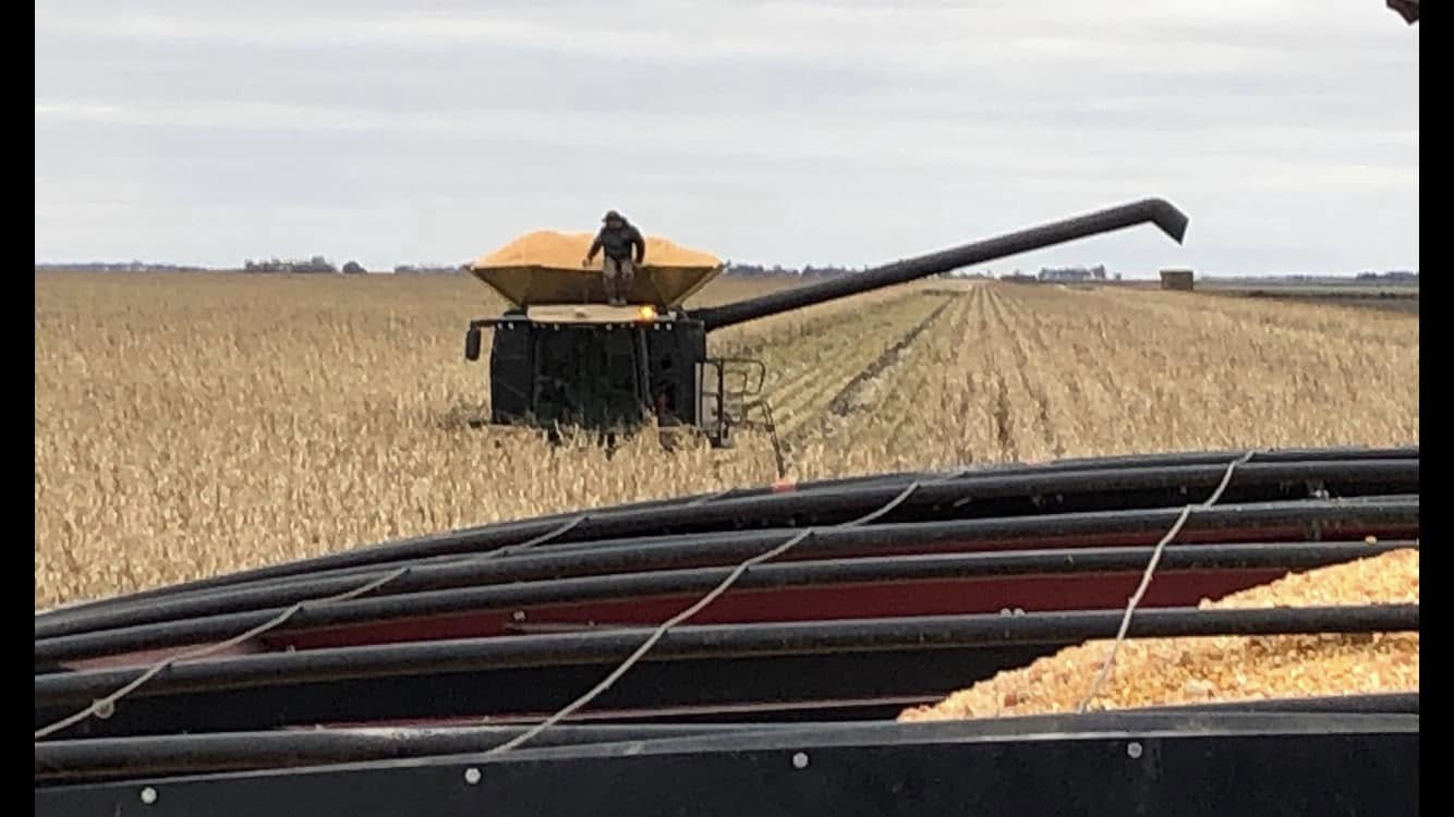 ASM Custom Harvesting LTD. - Farming & Agricultural Services in Carman, Manitoba