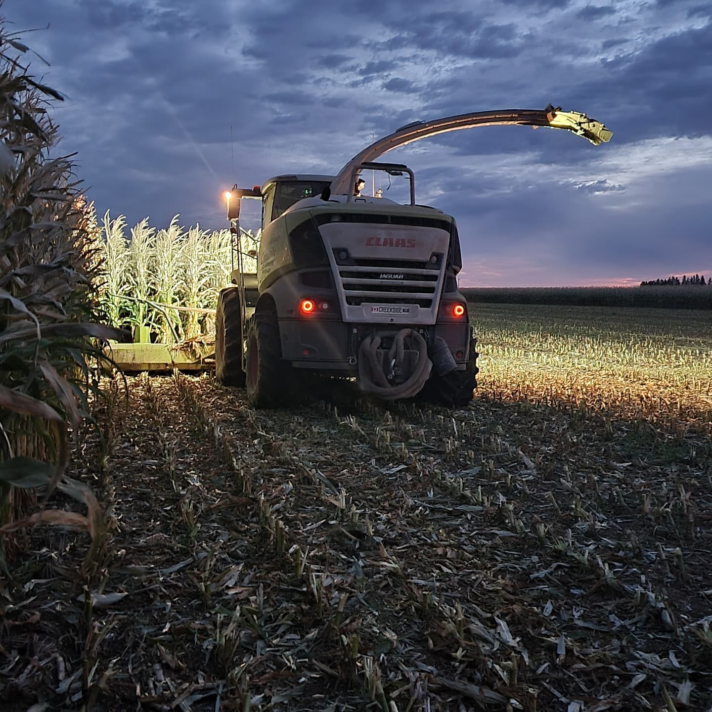Farming in Coaldale, Alberta