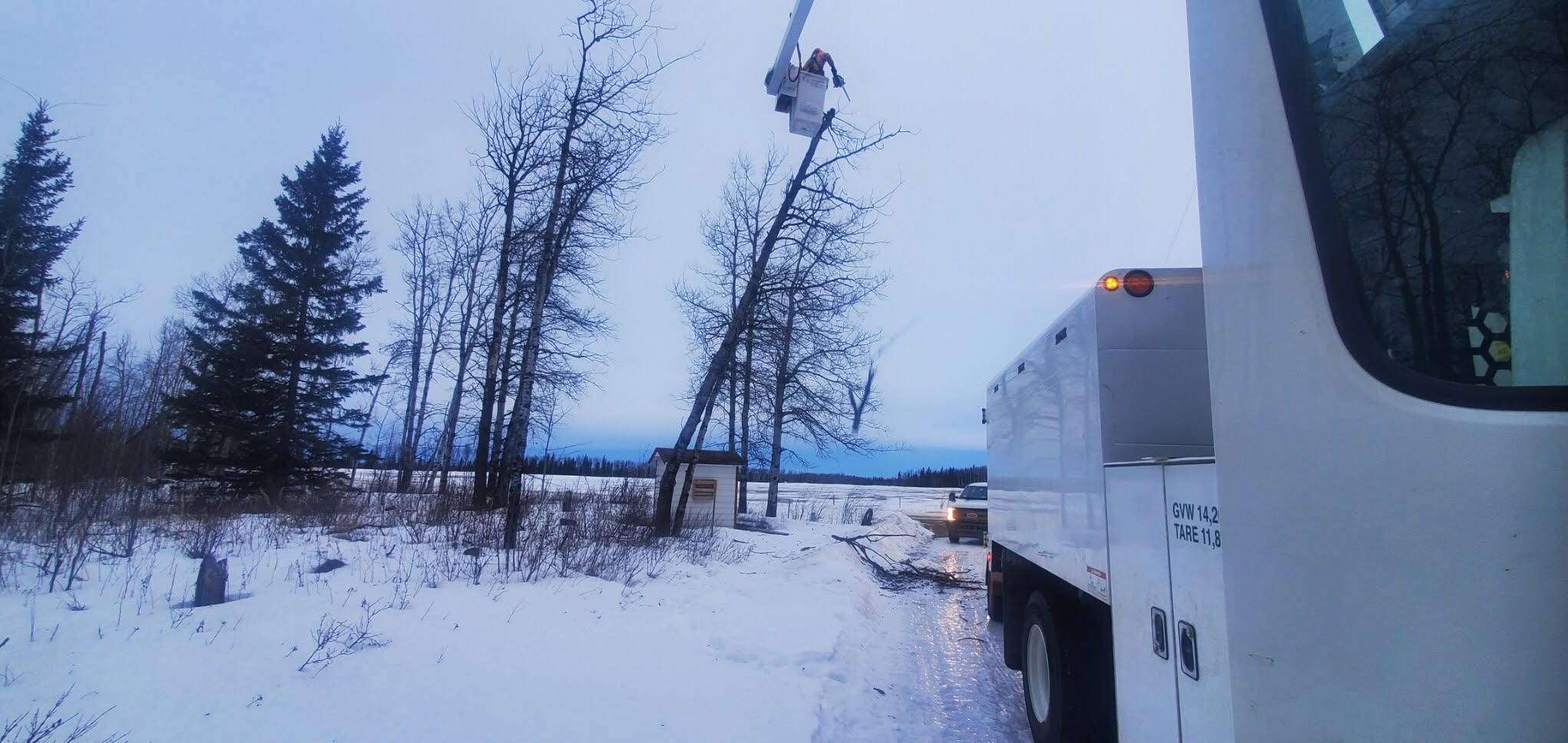R. Osmond Tree Services Ltd. - Tree Services in Peace River, Alberta