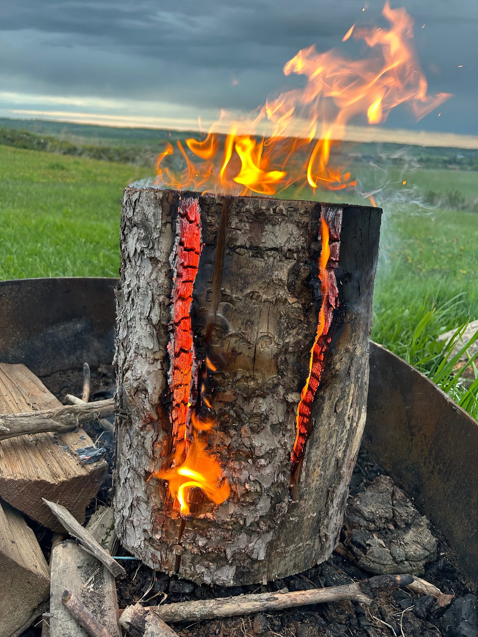 McColm Wood Products Ltd