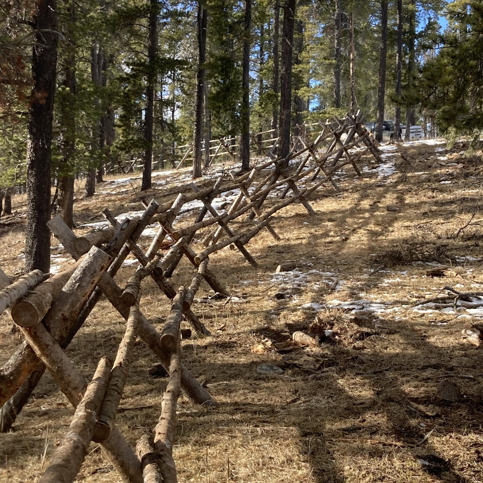 Creekside Outdoor Services Ltd. - Tree Services in Cochrane, Alberta