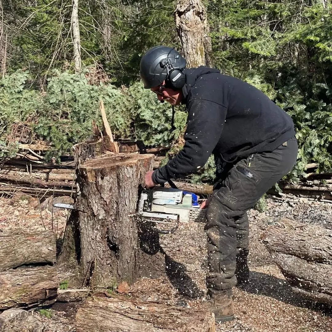 Northern Axemen Tree Service - Tree Services in Parry Sound, Ontario
