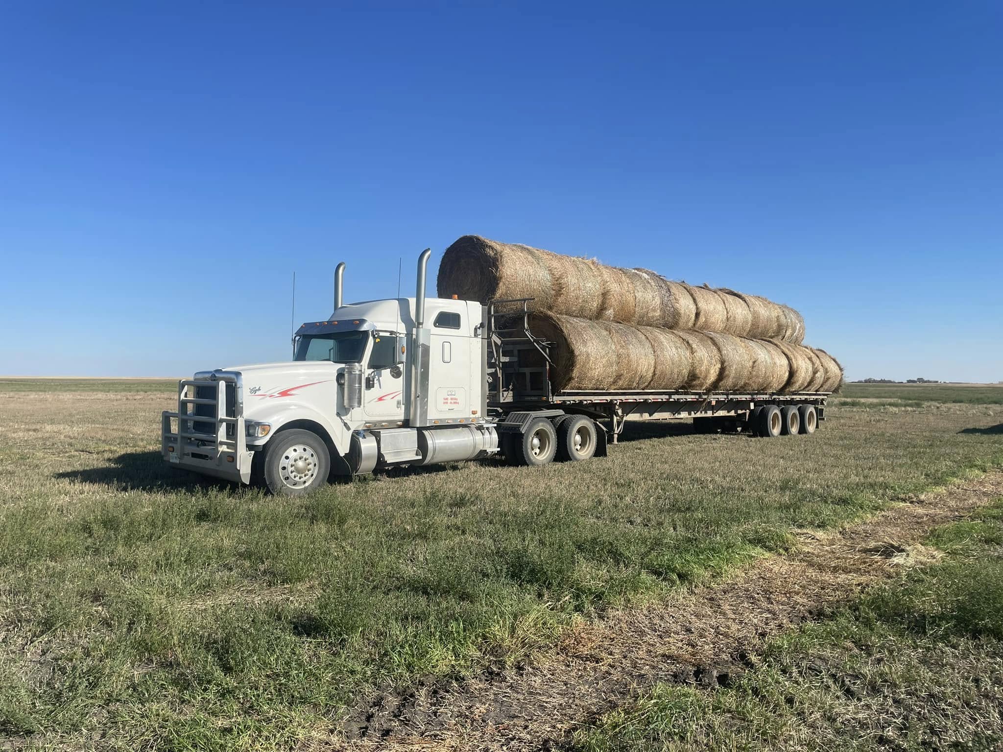 L Cross Livestock Services in Trossachs, Saskatchewan.