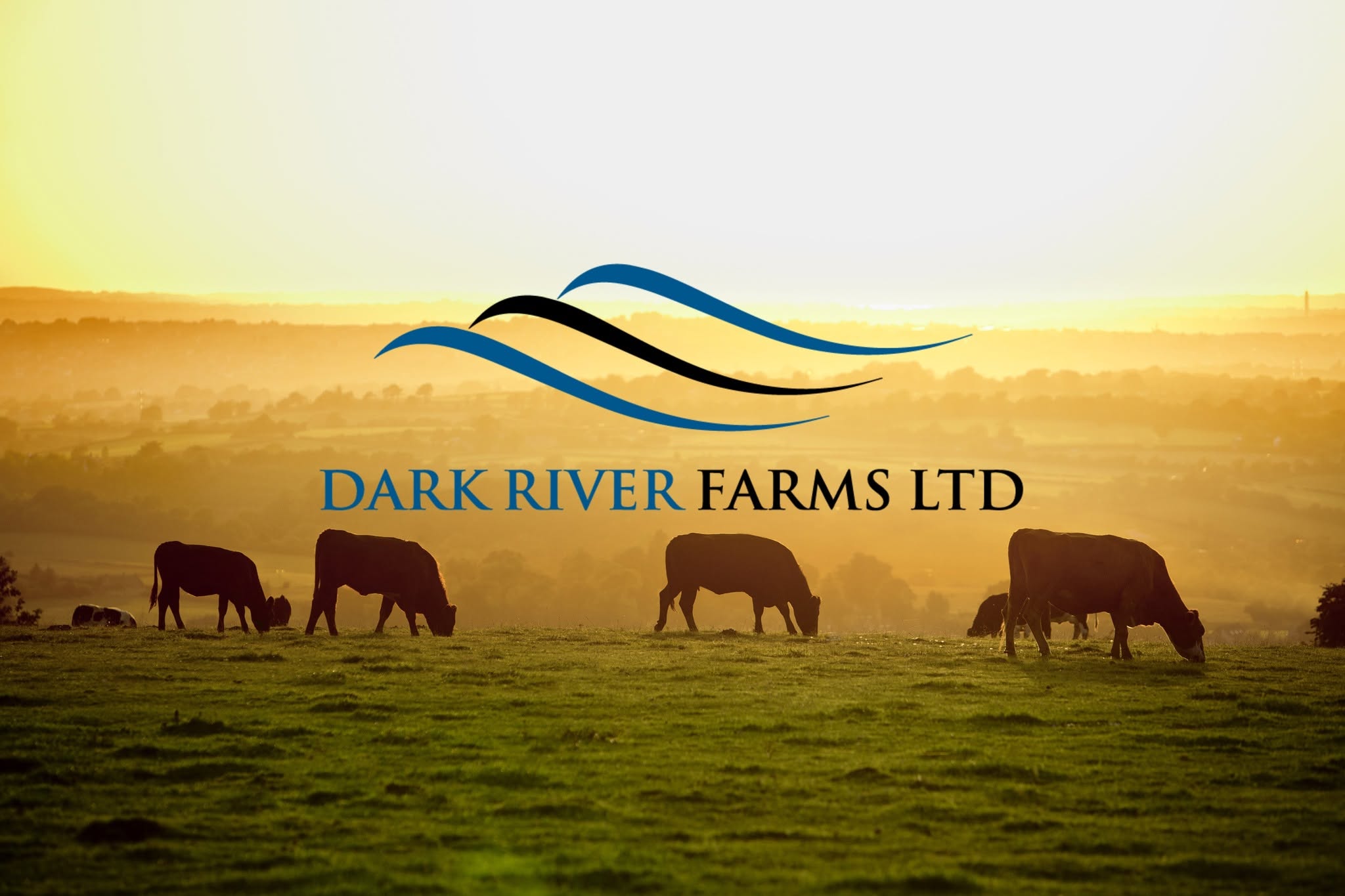 Dark River Farms Ltd. - Farming & Agricultural Services in Yellowhead County, Alberta