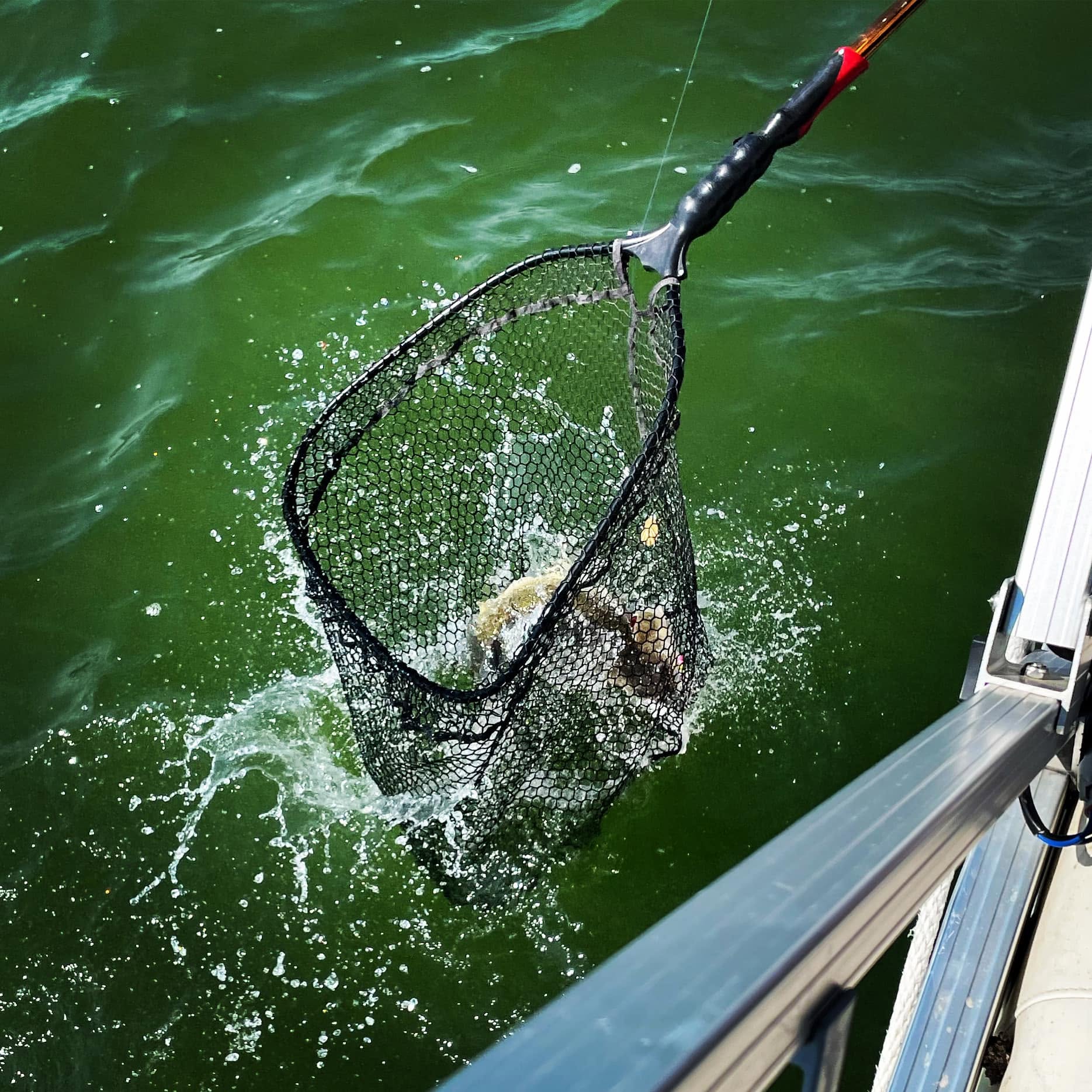 Last Mountain Angling Adventures - Fishing & Hunting Outfitters in Craven, Saskatchewan