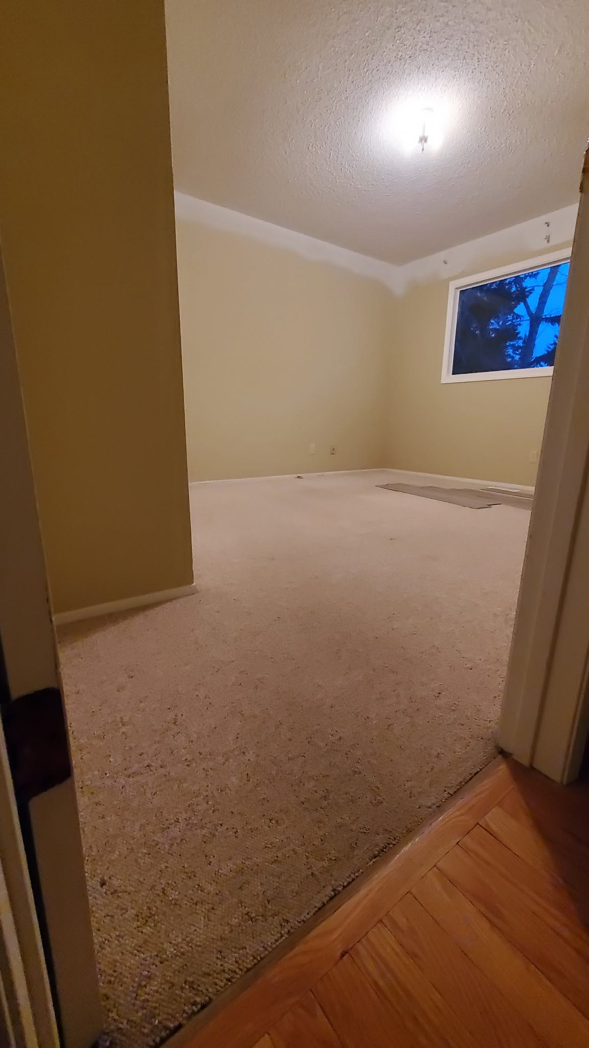 Next Phase Renovations in Carstairs, AB