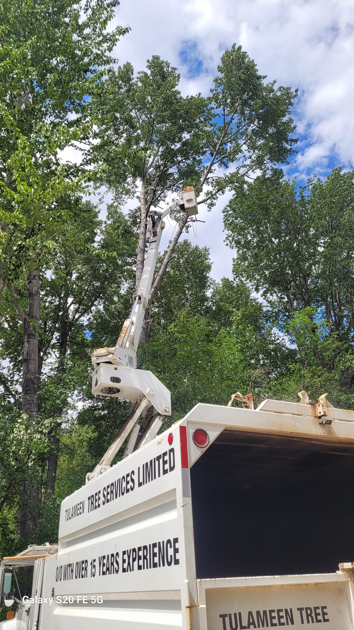 Tulameen Tree Services - Tree Service in Tulameen, British Columbia