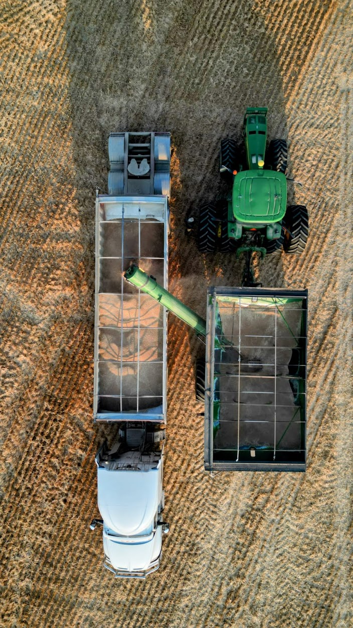 L.Petersen Farms Ltd. - Farming & Agricultural Services in Hodgeville, Saskatchewan
