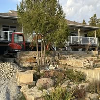 Coles Property Development