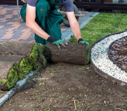Bimm Backhoes Ltd. in Pembroke, Ontario