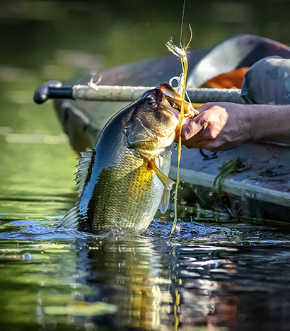 Fishing & Hunting Outfitters in Memramcook, New Brunswick